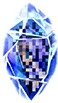 Echo's Memory Crystal.