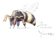 Bee FFXI Art.jpg (92 KB) Concept art of a bee.