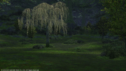 FFXIV White Willow