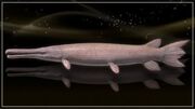 Pink Jade Gar.jpg