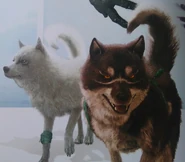 Pryna and Umbra renders in The Art & Design of Final Fantasy XV.