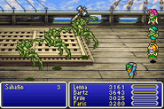 Turtle Soup from FFV Advance