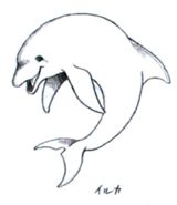 Priscilla's dolphin friend, Mr. Dolphin's artwork by Tetsuya Nomura.