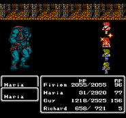 Final Fantasy II (NES).