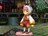 Gray Cat Hood in Final Fantasy Crystal Chronicles: Ring of Fates.