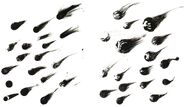 FFVII Logo Sketches