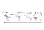 Kaze unveils Magun sketches for Final Fantasy Unlimited.png (44 KB) Unveiling Magun.