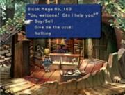 180px-Black mage village shop.jpg