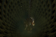 Nalbina-dungeons5-ffxii.png (143 KB) Pit below the prison cage.
