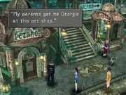 Timber-Pet-Shop-FFVIII