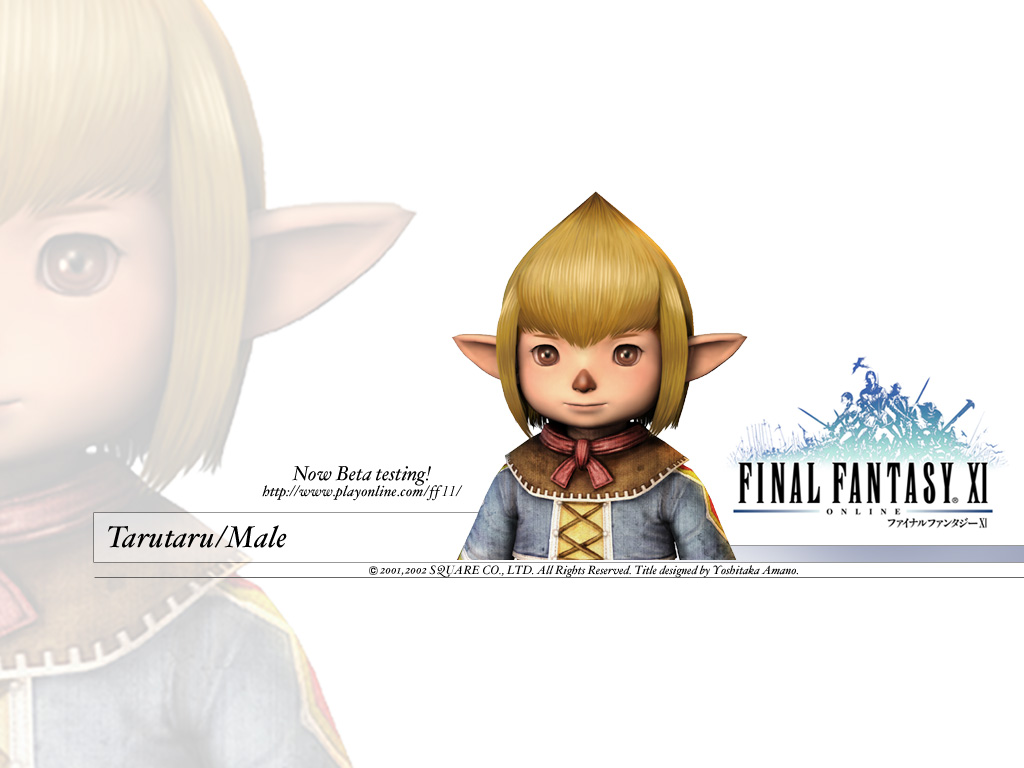 Final Fantasy Xi Wallpapers Final Fantasy Wiki Fandom