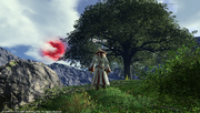 FFXIV The Sentinel