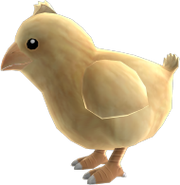 Chocobo for Xbox Avatar