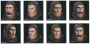 Steiner CG Faces FFIX Art