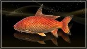 Sunrise Lucian Carp.jpg