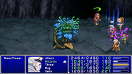 Final Fantasy IV: The After Years (PSP).