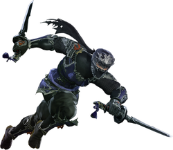 Ninja (Final Fantasy XI), Final Fantasy Wiki