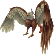 Griffon