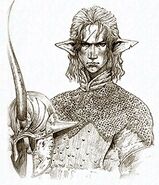 Acheufagais Oragile.jpg (61 KB) Acheufagais R d'Oraguille, the 9th king of San d'Oria.