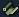 FFXII Technick Icon
