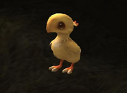 Chocobo chick.