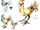 Chocobo (Final Fantasy X)