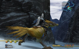 Paramina rift chocobo