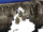 FFVI PC MA on Narshe Cliffs.png