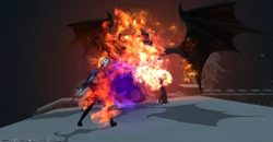 Verfire.