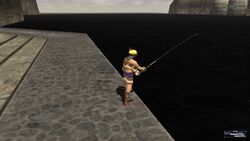 Fishing FF11 1