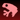 Toad
