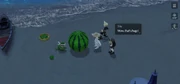 Watermelon Tonberry Giant Watermelon