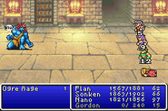 Final Fantasy II (GBA).