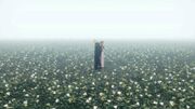 Cloud and Aerith on a flower field from FFVII Advent Children