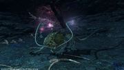 FFXIV Lone Coeurl Battle