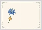 Цветок в блокноте Игниса.