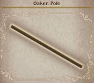 Bravely Default Oaken Pole.jpg (61 KB) Bravely Default.