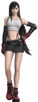 DFFNT Tifa Lockhart Costume 01-A