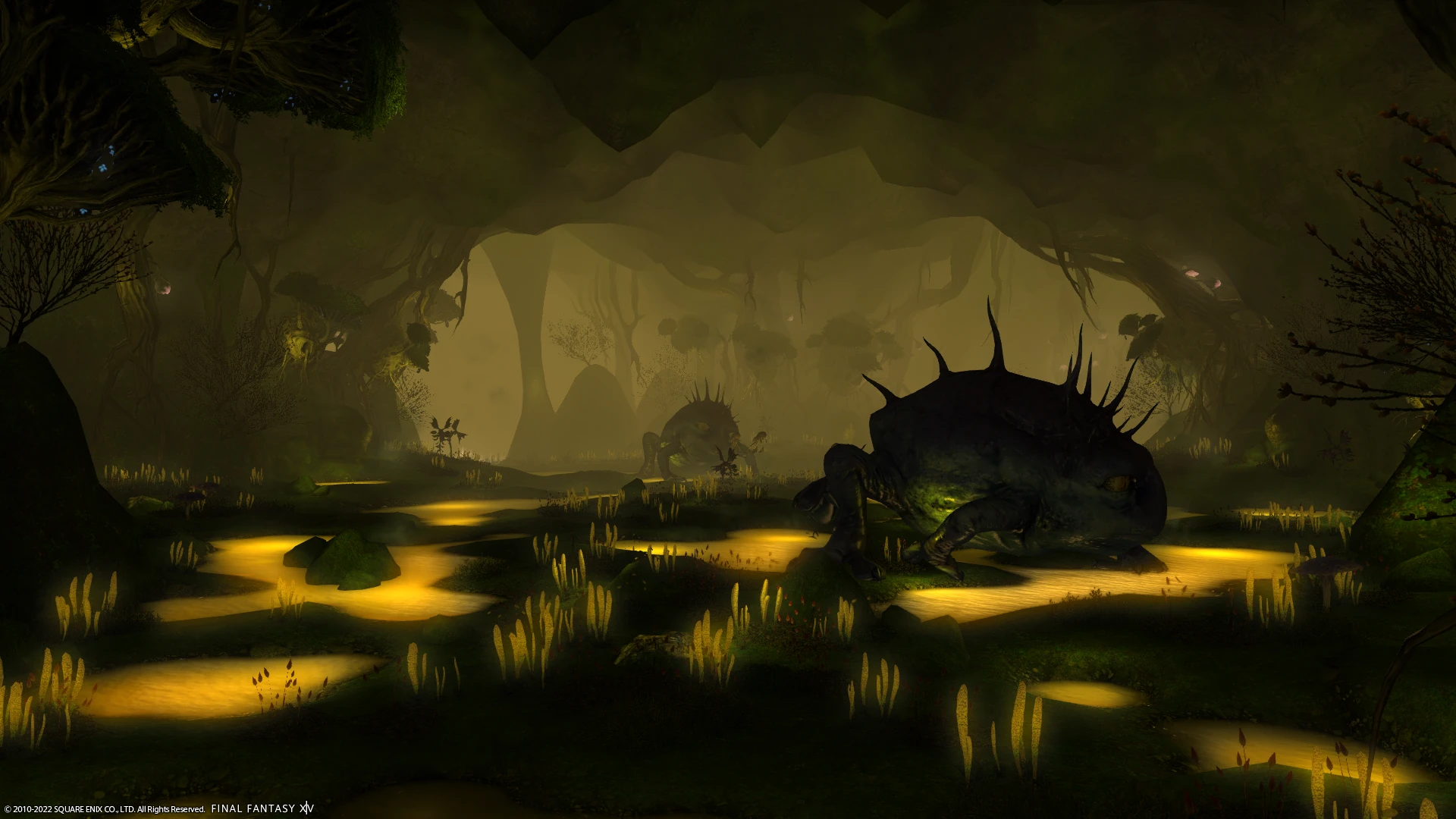 The Aurum Vale | Final Fantasy Wiki | Fandom