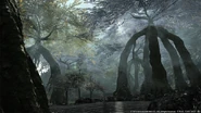 FFXIV Dravania 004.png (862 KB) Caelum Trees.