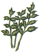 Echo Herbs FFIII Art.png (80 KB) Echo Herbs