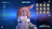 XIV Character Creation Screen