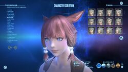 Final Fantasy Xiv Final Fantasy Wiki Fandom