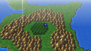 A Chocobo Forest on the world map (PSP).