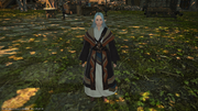 FFXIV SB Myste