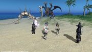 FFXIV Turtleback Skirmish