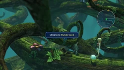 WoFF Pyreglow Forest Thunder Seed