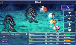 FFV iOS Float