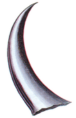 Fang of Wind FFIII Art.png