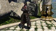 Leofard new gear